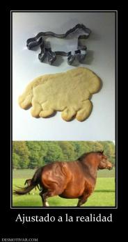 Ajustado a la realidad