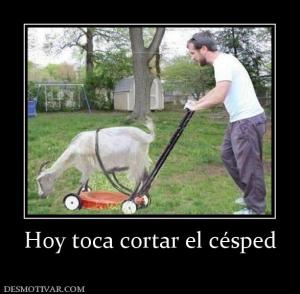 Hoy toca cortar el césped