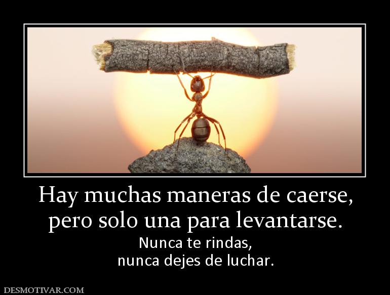 Hay muchas maneras de caerse, pero solo una para levantarse. Nunca te rindas, nunca dejes de luchar.