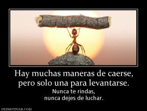 Hay muchas maneras de caerse, pero solo una para levantarse. Nunca te rindas, nunca dejes de luchar.