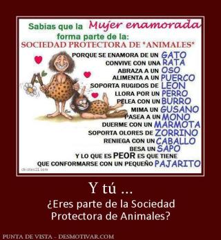 Y tú ... ¿Eres parte de la Sociedad Protectora de Animales?