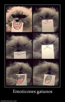 Emoticones gatunos