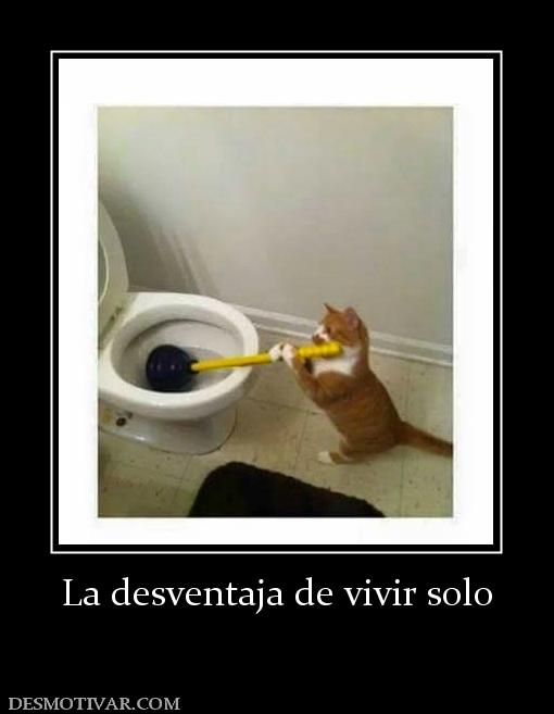 La desventaja de vivir solo