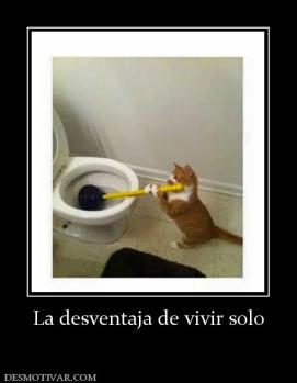 La desventaja de vivir solo