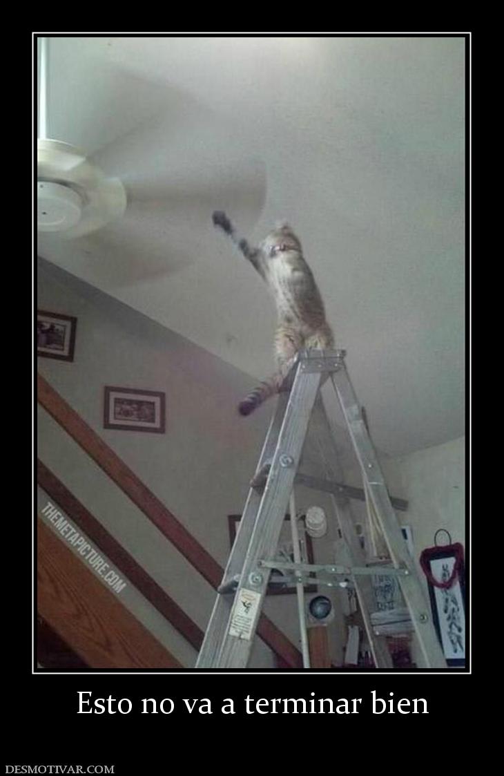 Esto no va a terminar bien