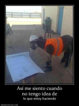 Así me siento cuando no tengo idea de lo que estoy haciendo
