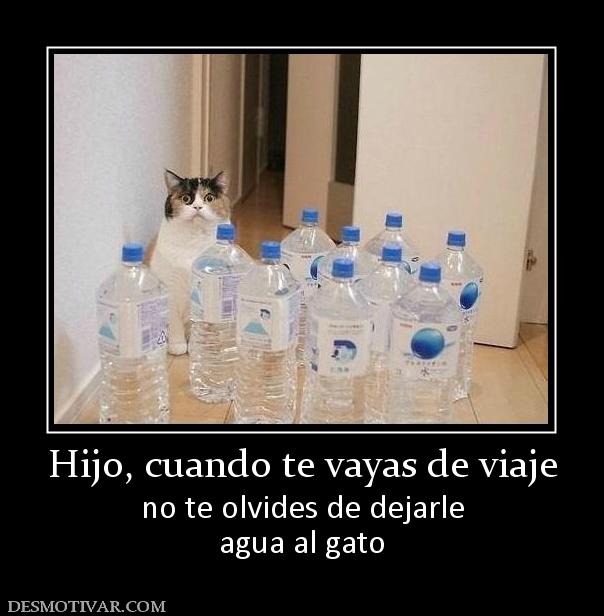 Hijo, cuando te vayas de viaje no te olvides de dejarle agua al gato