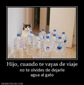 Hijo, cuando te vayas de viaje no te olvides de dejarle agua al gato