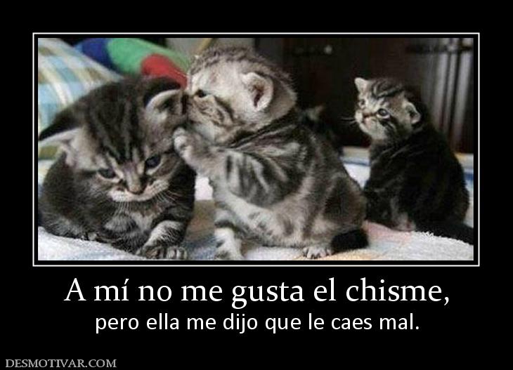 A mí no me gusta el chisme, pero ella me dijo que le caes mal.