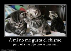 A mí no me gusta el chisme, pero ella me dijo que le caes mal.