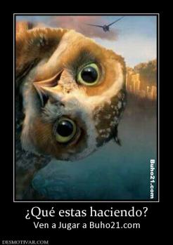 ¿Qué estas haciendo? Ven a Jugar a Buho21.com