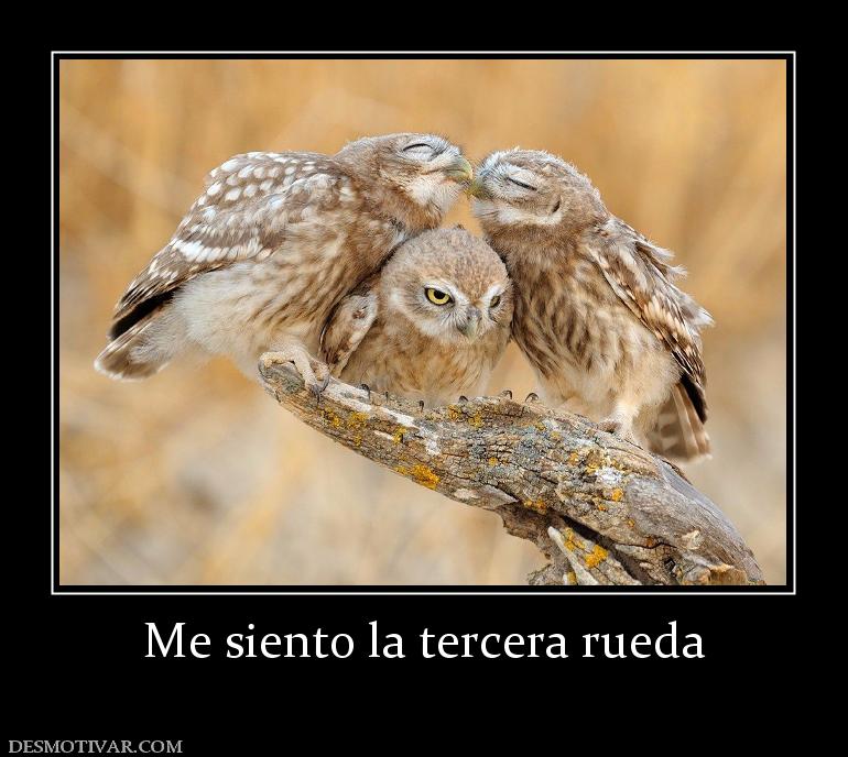 Me siento la tercera rueda