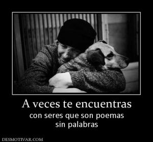 A veces te encuentras con seres que son poemas sin palabras