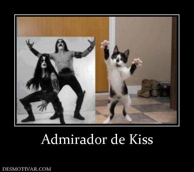 Admirador de Kiss
