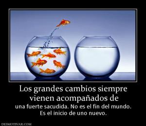 Los grandes cambios siempre  vienen acompañados de  una fuerte sacudida. No es el fin del mundo. Es el inicio de uno nuevo.