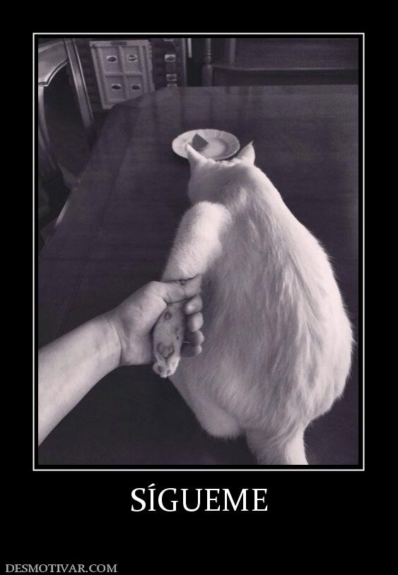 SÍGUEME