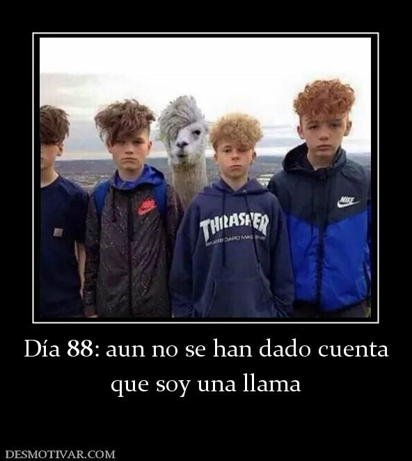 Día 88: aun no se han dado cuenta que soy una llama