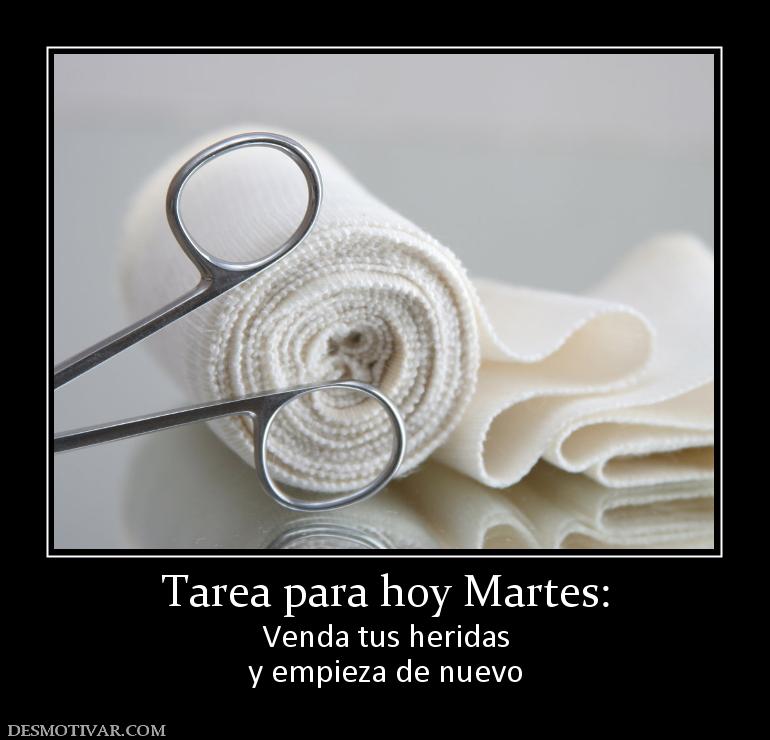 Tarea para hoy Martes: Venda tus heridas y empieza de nuevo