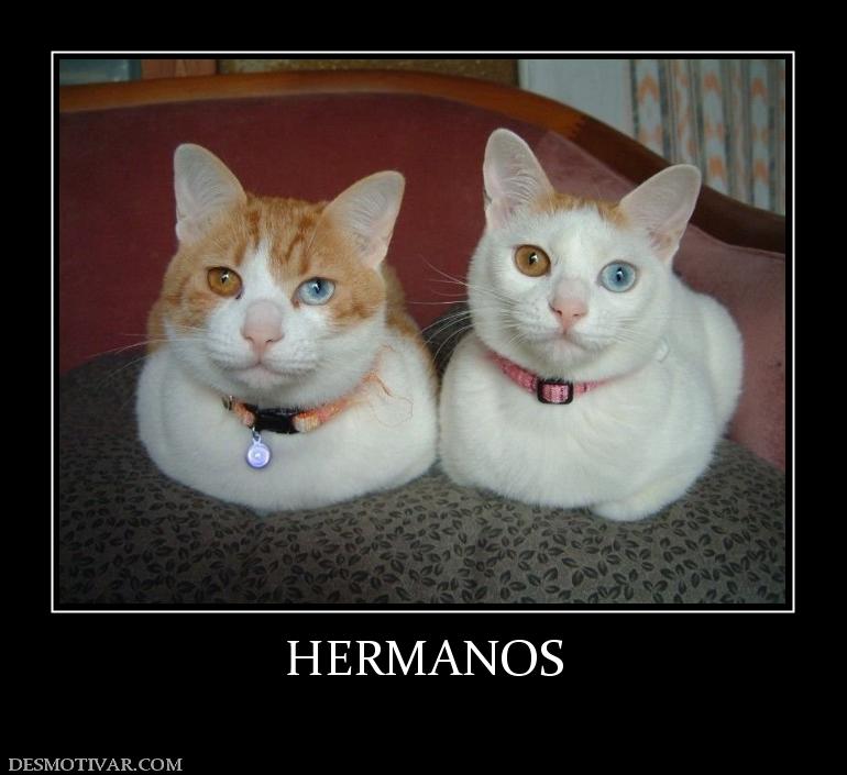 HERMANOS