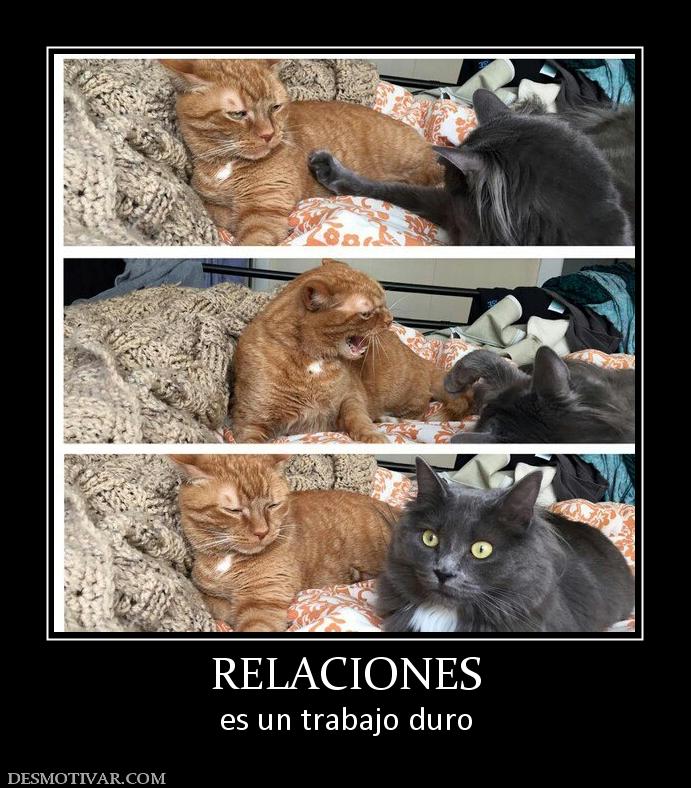 RELACIONES es un trabajo duro