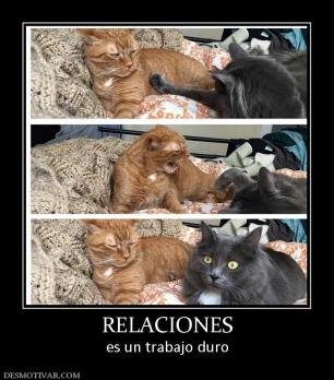 RELACIONES es un trabajo duro