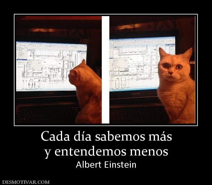 Cada día sabemos más y entendemos menos Albert Einstein