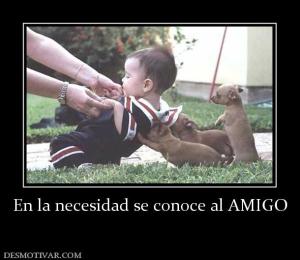 En la necesidad se conoce al AMIGO