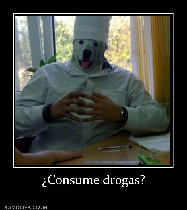 ¿Consume drogas?