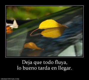 Deja que todo fluya, lo bueno tarda en llegar.