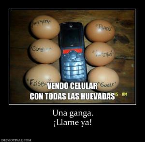 Una ganga. ¡Llame ya!