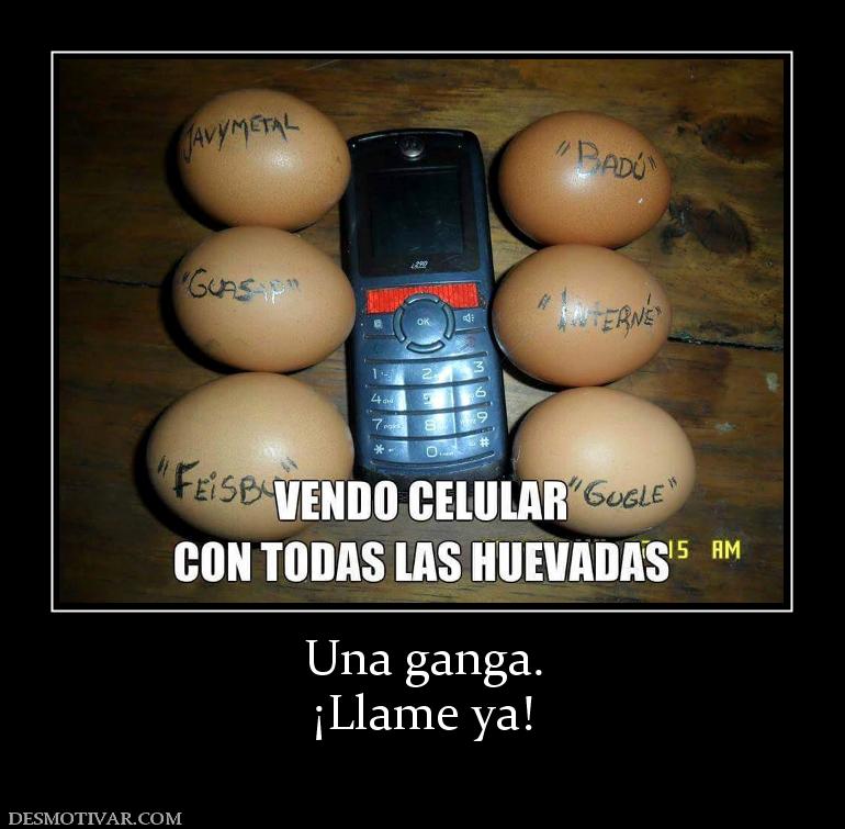 Una ganga. ¡Llame ya!