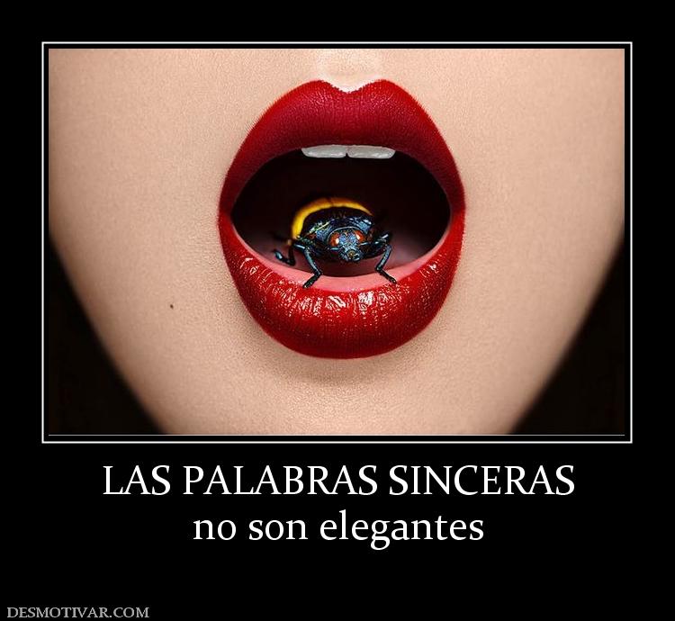 LAS PALABRAS SINCERAS no son elegantes