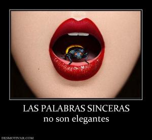 LAS PALABRAS SINCERAS no son elegantes