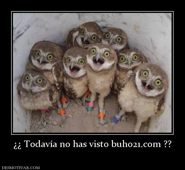 ¿¿ Todavía no has visto buho21.org ??