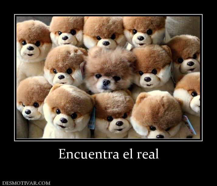 Encuentra el real