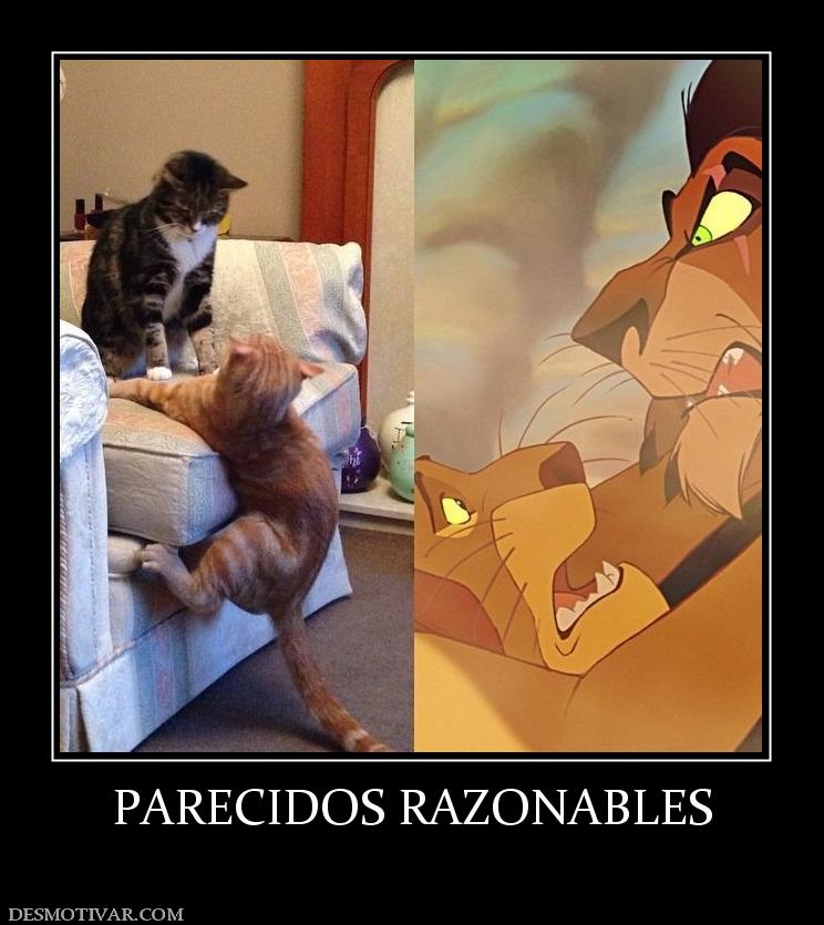PARECIDOS RAZONABLES