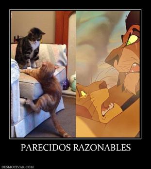 PARECIDOS RAZONABLES