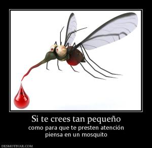 Si te crees tan pequeño como para que te presten atención piensa en un mosquito