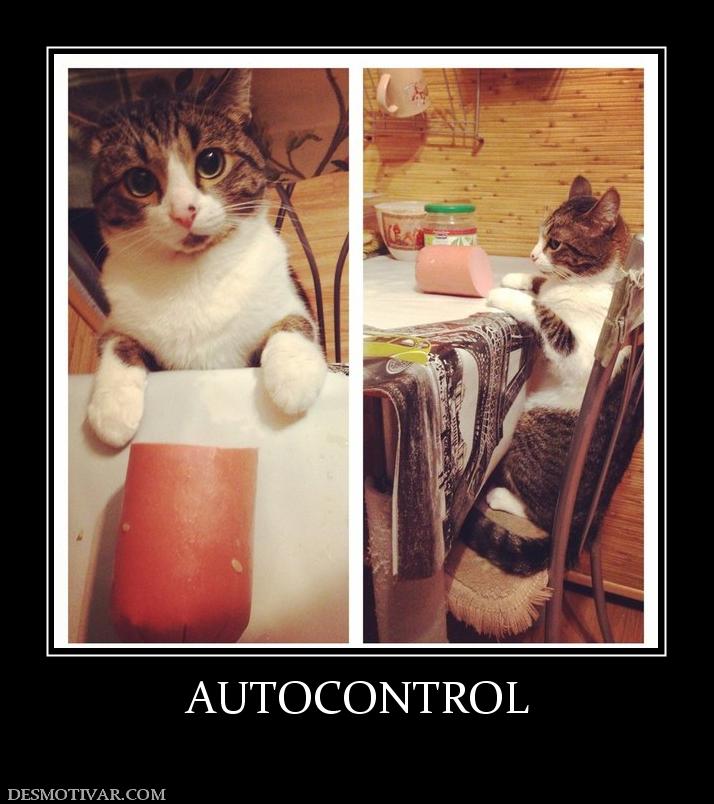 AUTOCONTROL