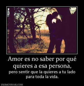 Amor es no saber por qué quieres a esa persona,  pero sentir que la quieres a tu lado para toda la vida.