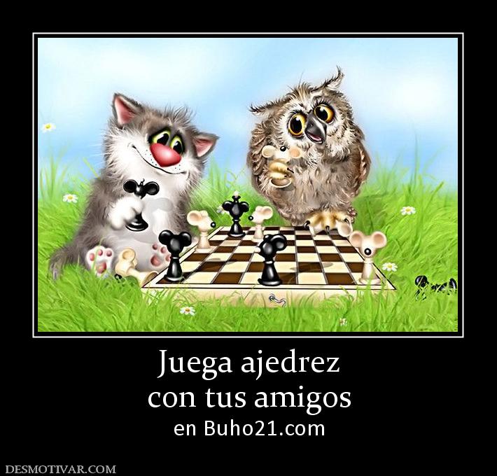 Juega ajedrez con tus amigos en buho21.org