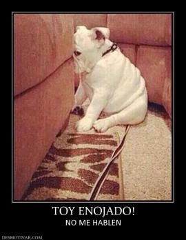 TOY ENOJADO! NO ME HABLEN