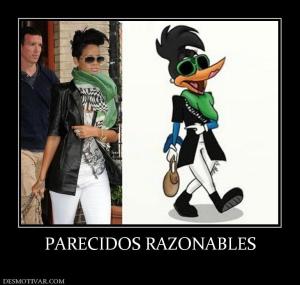 PARECIDOS RAZONABLES