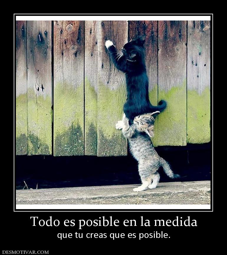 Todo es posible en la medida que tu creas que es posible.