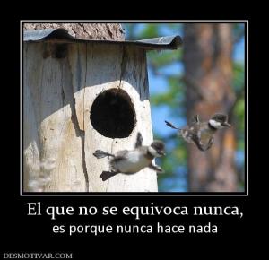 El que no se equivoca nunca, es porque nunca hace nada