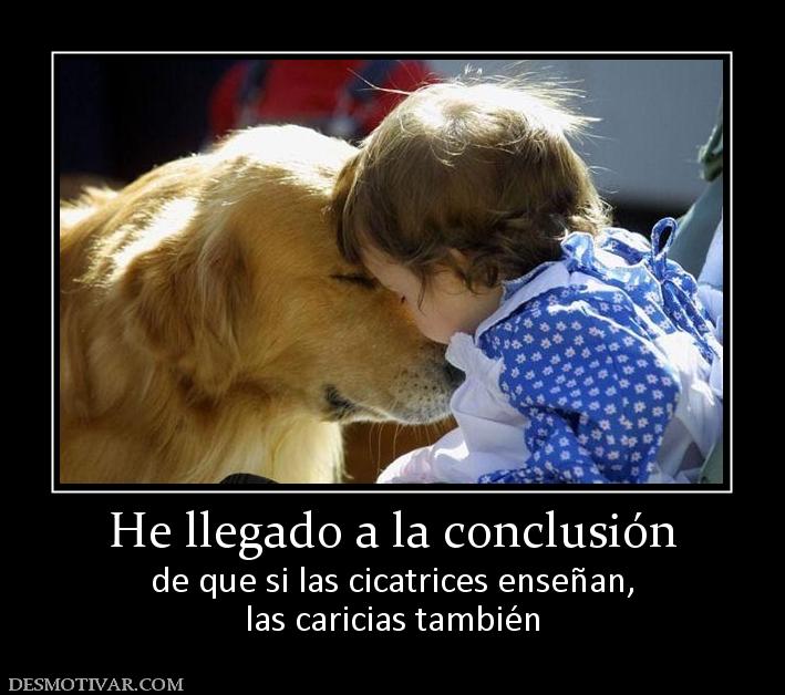 He llegado a la conclusión de que si las cicatrices enseñan, las caricias también