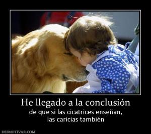 He llegado a la conclusión de que si las cicatrices enseñan, las caricias también