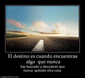 El destino es cuando encuentras  algo  que nunca  has buscado y descubres que nunca  quisiste otra cosa.