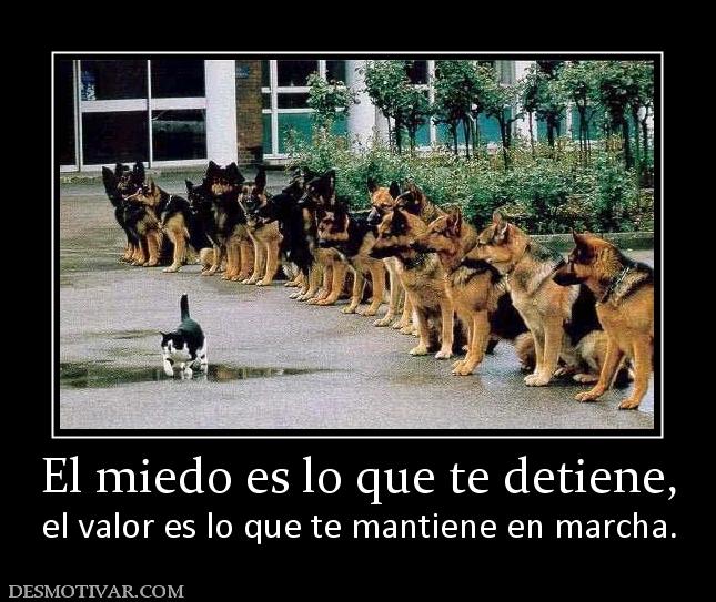 El miedo es lo que te detiene, el valor es lo que te mantiene en marcha.