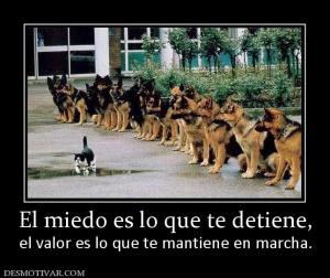 El miedo es lo que te detiene, el valor es lo que te mantiene en marcha.